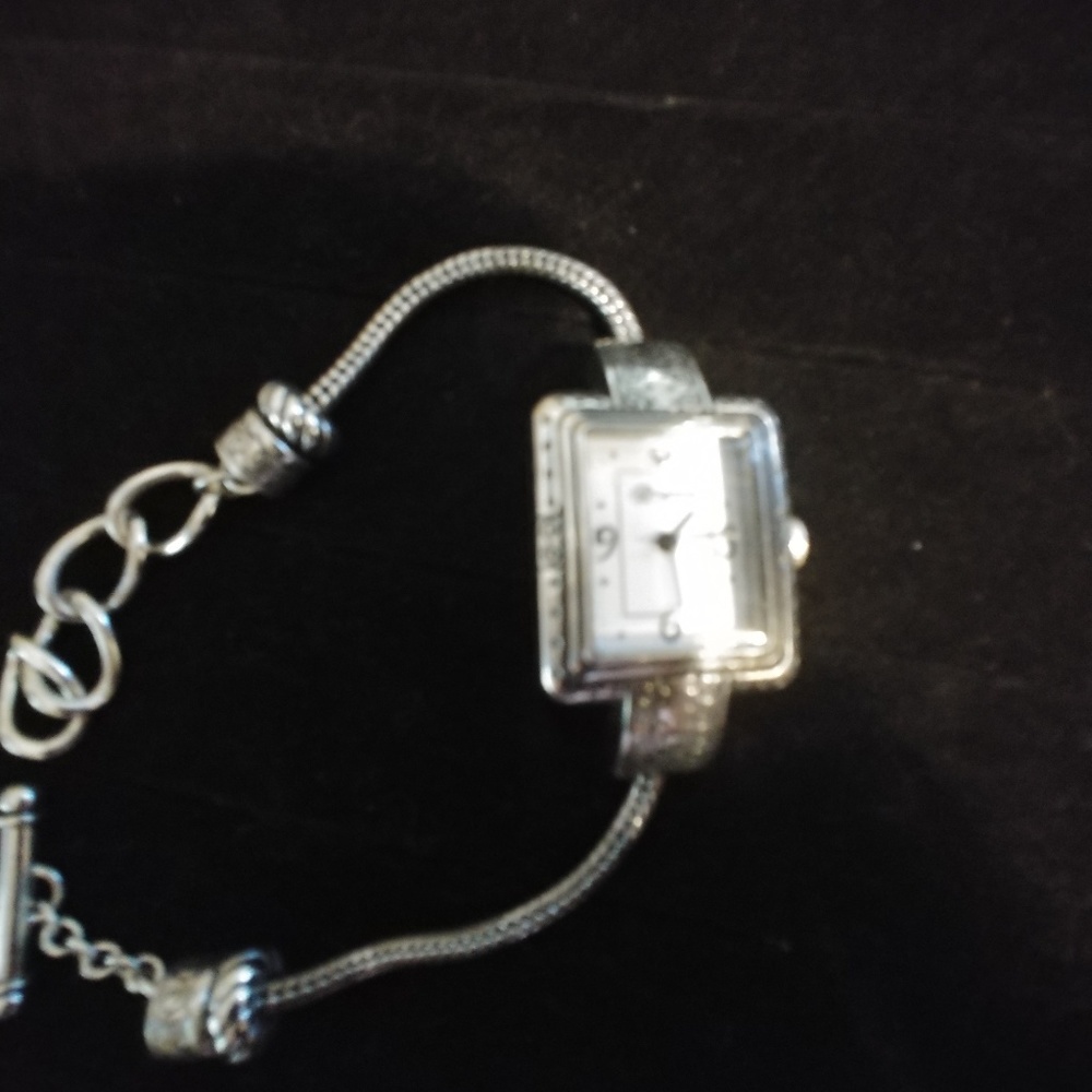 Brighton Watch